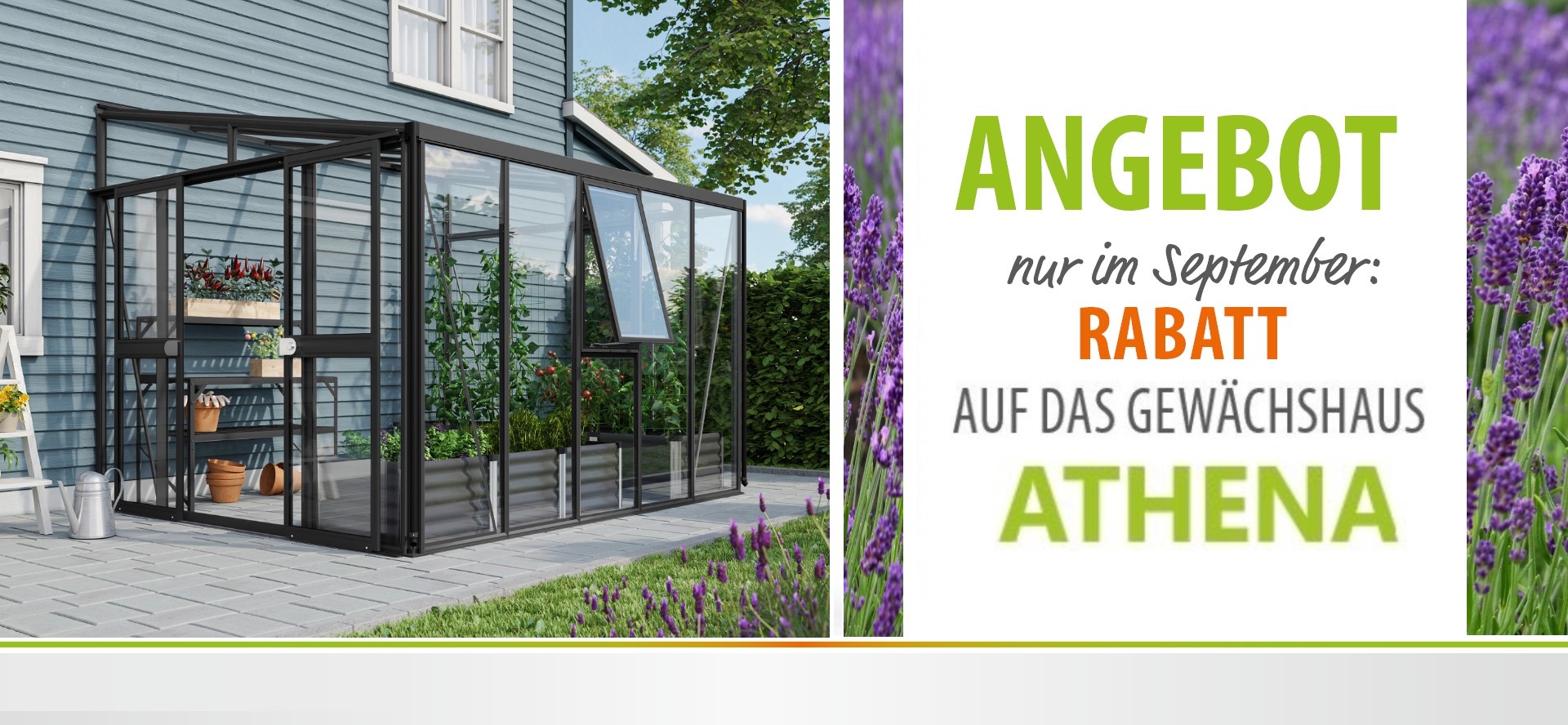 AKTION Anlehngewächshaus ATHENA